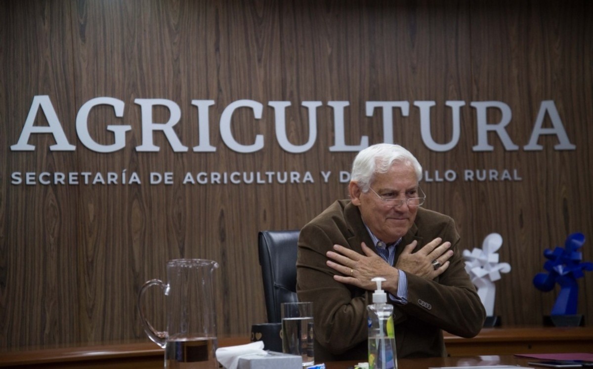 México producirá 28 millones de toneladas de maíz para este año: Sader