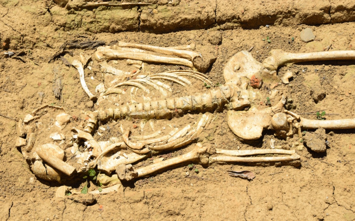 El posible noble germánico fue enterrado con un círculo de seis mujeres.(Shutterstock)
