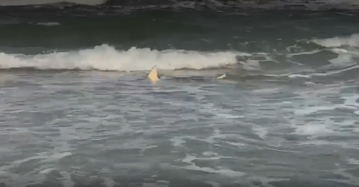 La Isla del Padre está ubicada en el extremo sudeste de Texas. (Captura de pantalla)