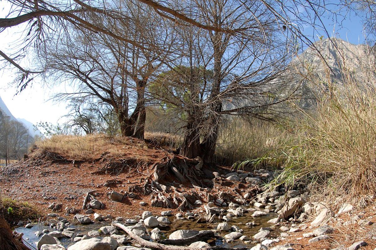 La zona contiene una biodiversidad que es única en el mundo. (Notivox Digital)