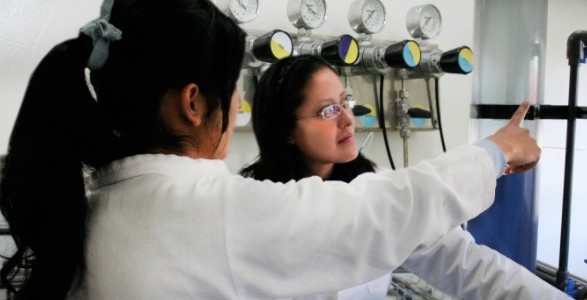 En 2019 aprobaron 2 mil 358 becas con una inversión de 69 millones 262 mil 535 pesos. (Especial)
