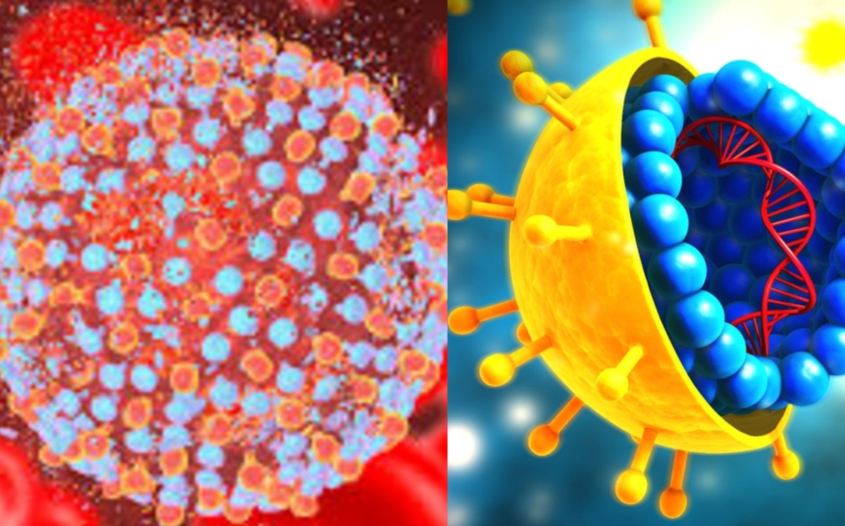 Hepatitis C, conoce sus causas y tratamiento. (Especial)