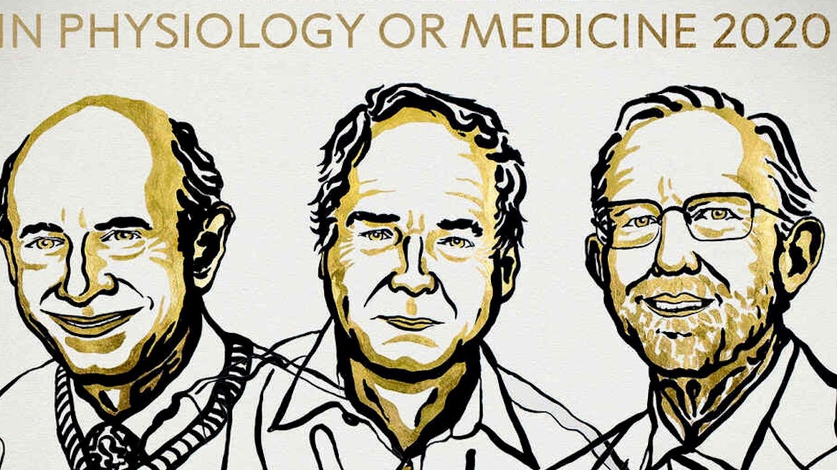 Tres virólogos ganan el 'Nobel de Medicina' por descubrir el virus de la hepatitis C