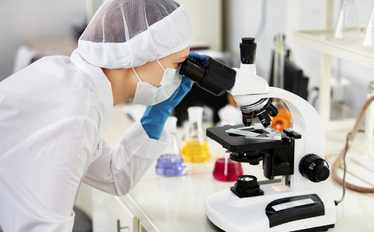 La institución aseguró que invertir en estos sectores ayudará al desarrollo de México. (Freepik)