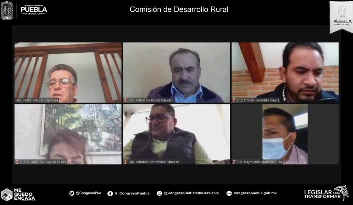 Comisión de Desarrollo Rural en sesión virtual. (Especial)