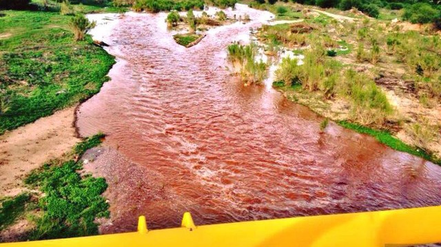 Ssa: hubo simulación en indagatoria sobre daños a salud en Río Sonora