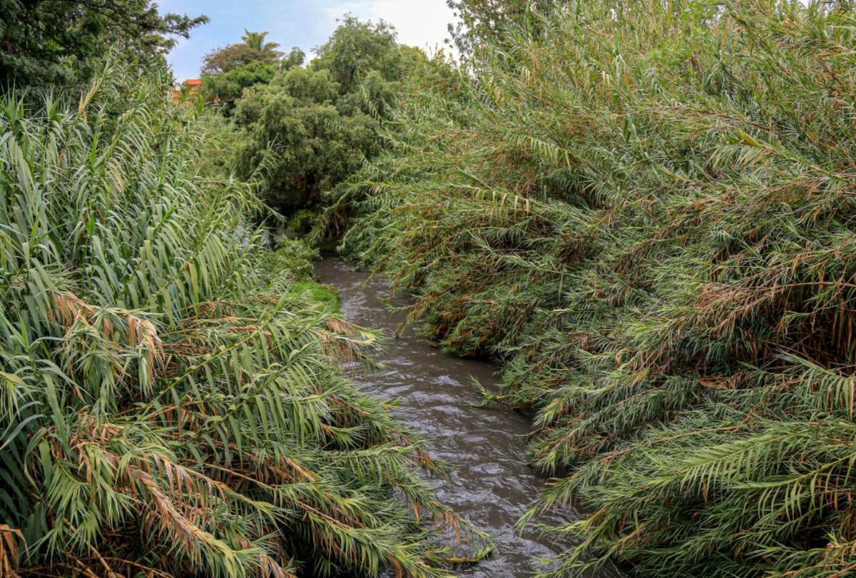Vista actual del Río San Francisco, parte de la cuenca del Atoyac, en su paso por la capital poblana. (Andrés Lobato)