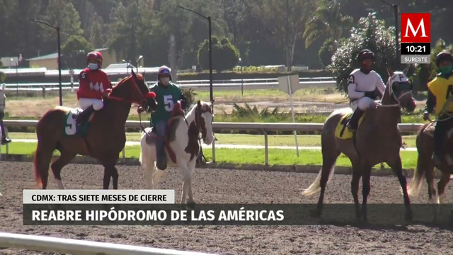 ¡Arrancan!... Hipódromo de las Américas reinicia sus actividades