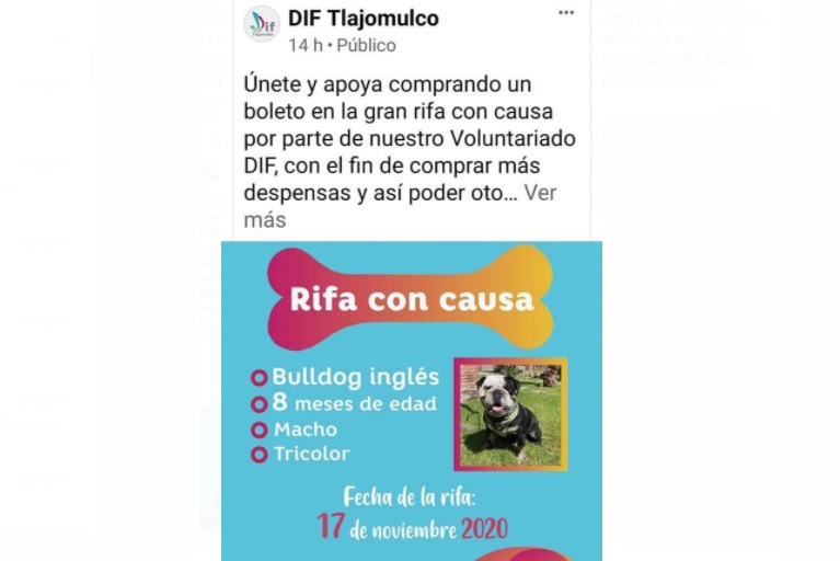 DIF de Tlajomulco  dio marcha atrás a rifa de perro tras criticas. (Especial)