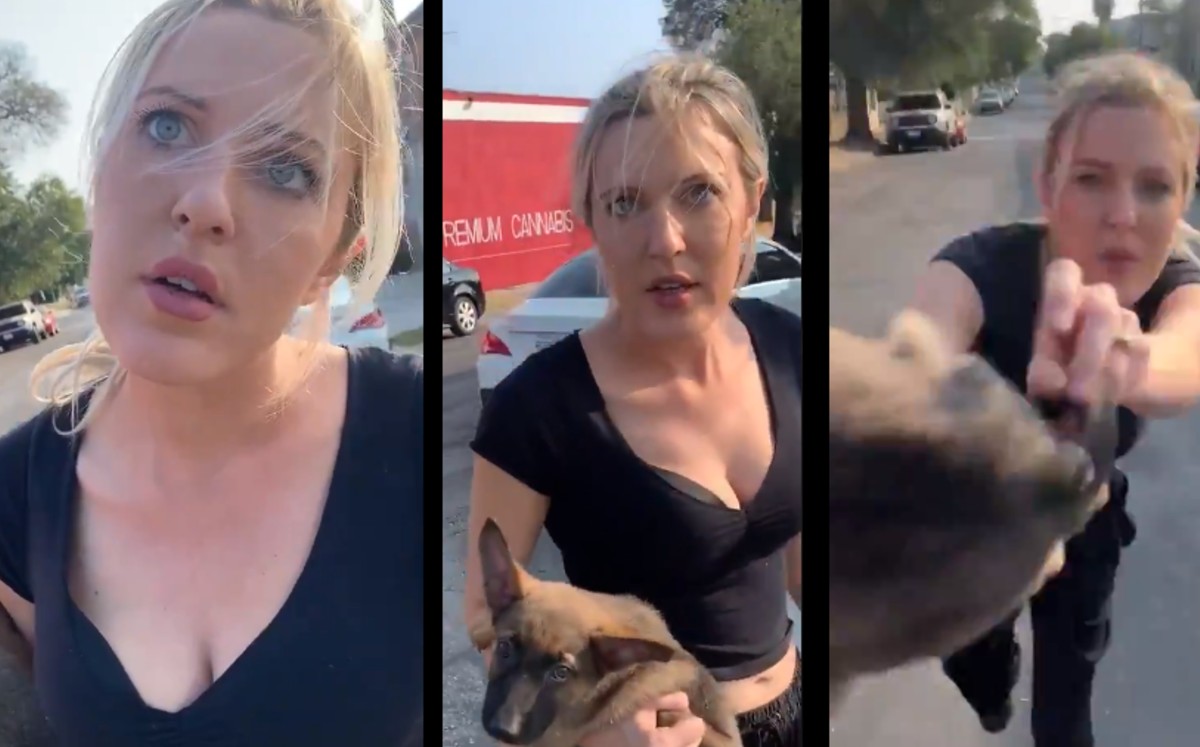 Indignación: Mujer racista agrede a hombre y maltrata a perrito. (Captura)
