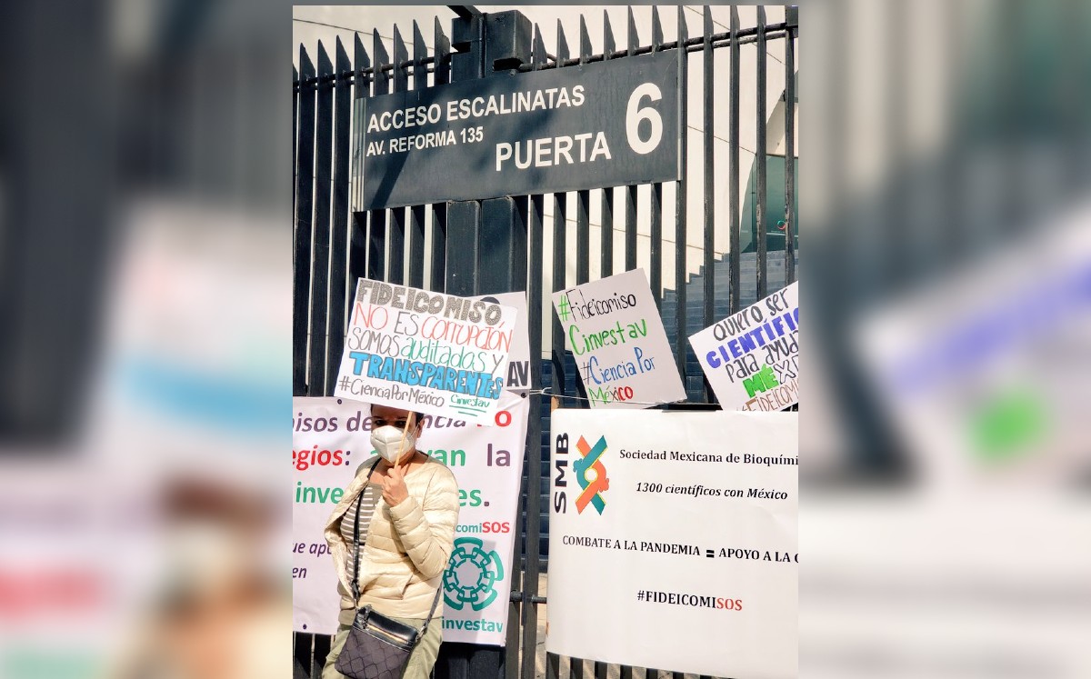 Senadores de oposición se reunieron con grupos afectados por la posible extinción de fideicomisos. (Twitter)