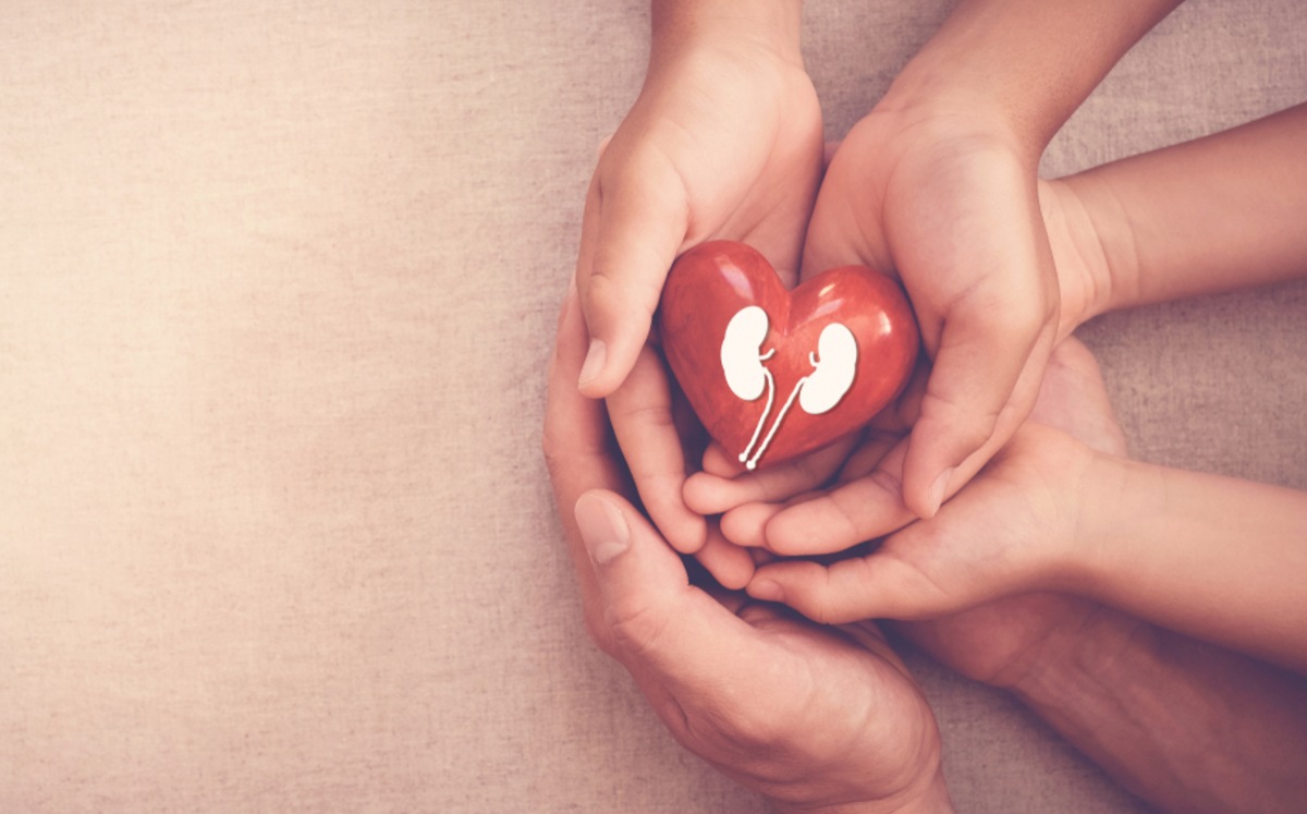La donación de órganos ayuda a salvar vidas. (Shutterstock)