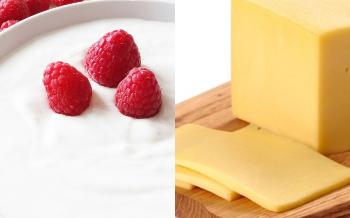 ¡Profeco saca la lupa! Analizará marcas de yogurt y queso amarillo