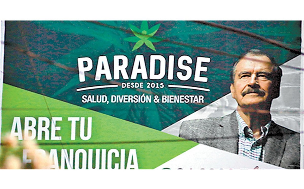 Promueve Vicente Fox artículos de mariguana