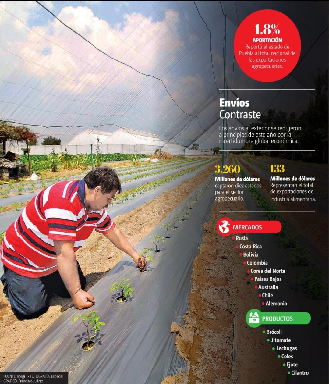 Existe un repunte de las ventas agropecuarias frente a otros subsectores. (Especial)