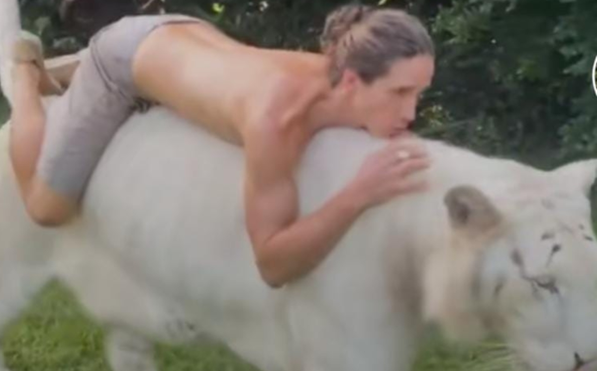 Hombre monta a tigre para grabar TikTok (Captura)