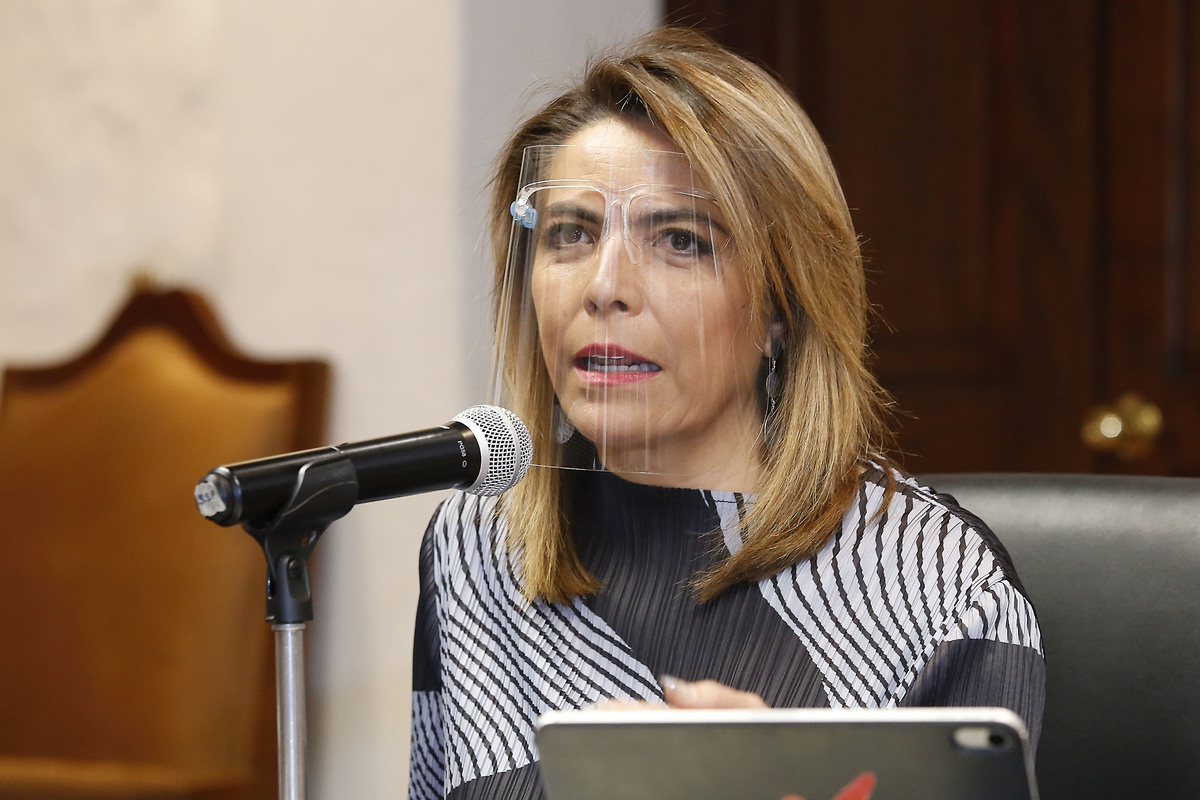 Olivia Salomón Vibaldo, titular de la Secretaría de Economía de Puebla. (Especial)