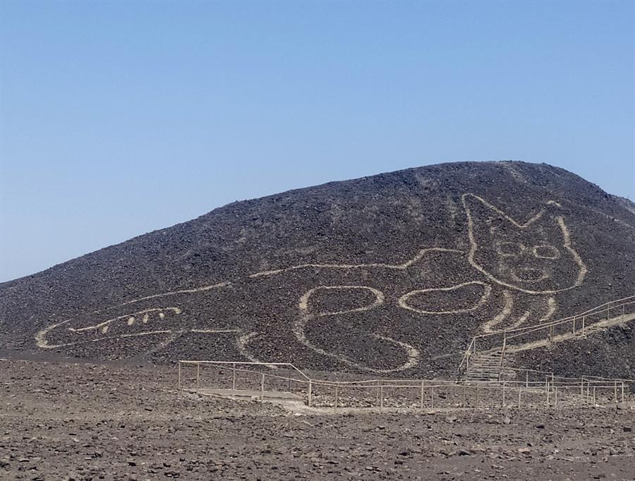 Descubren impresionante gatito de 37 metros en Nazca (EFE).