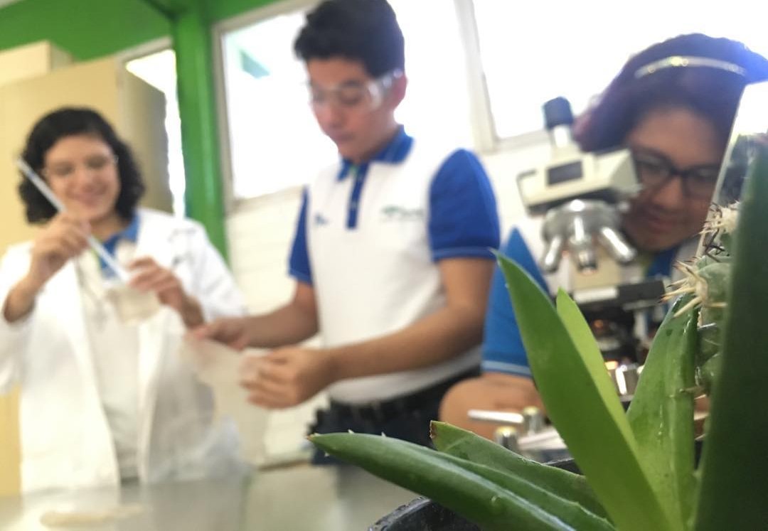 Estudiantes en Tamaulipas crean bioplástico con cactáceas