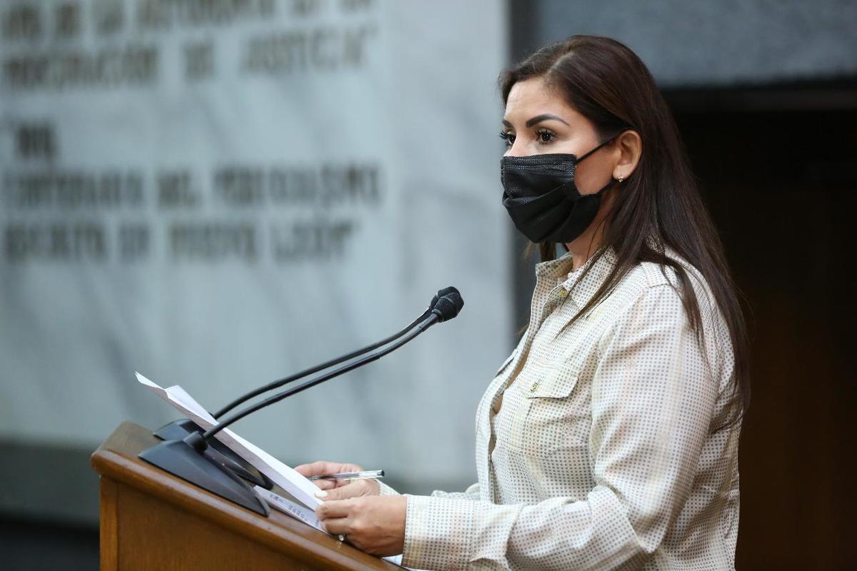 Karina Barrón, diputada del PRI en Nuevo León. Foto: Especial.