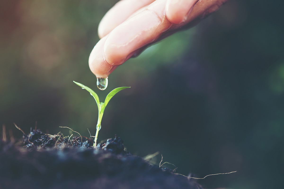 Biodiversa Laguna se llevará a cabo de manera virtual a través de su plataforma de Facebook. Freepik)