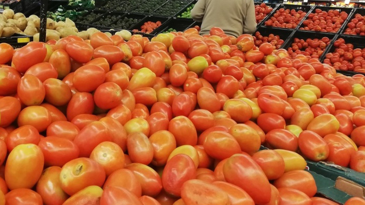 Sader: de enero a agosto, balanza comercial del sector agroalimentario superó 2019