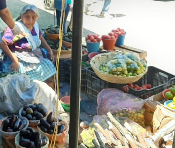 Ambulantes piden permiso a comuna para instalarse. (Apolonia Amayo)