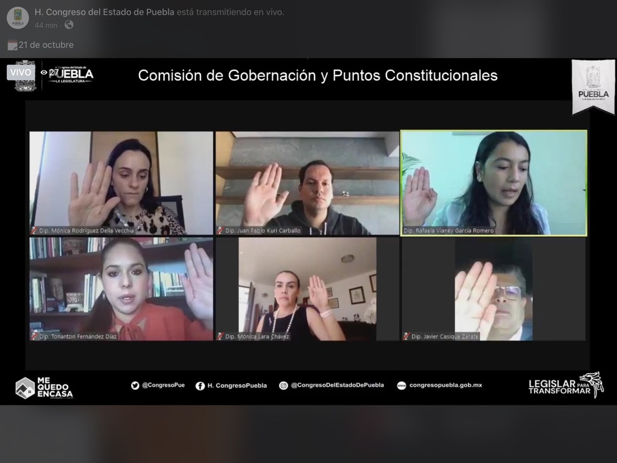 Comisión de Gobernación y Puntos Constitucionales en sesión virtual. (Especial)