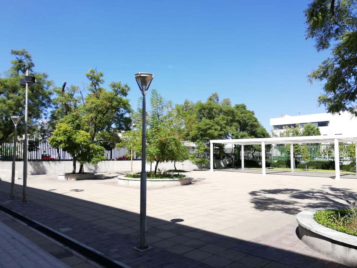 Forum Cultural Guanajuato contará con diferentes exhibiciones artísticas