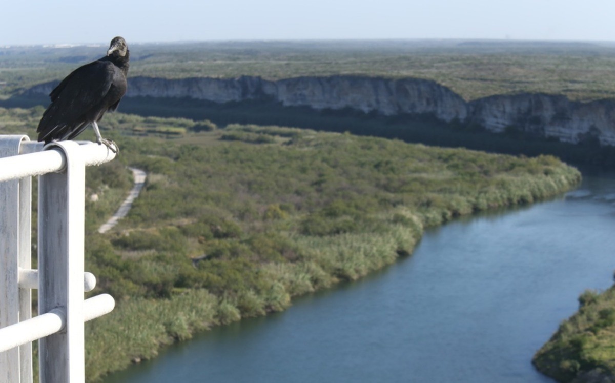 México cumple entrega de agua a Estados Unidos con presas internacionales