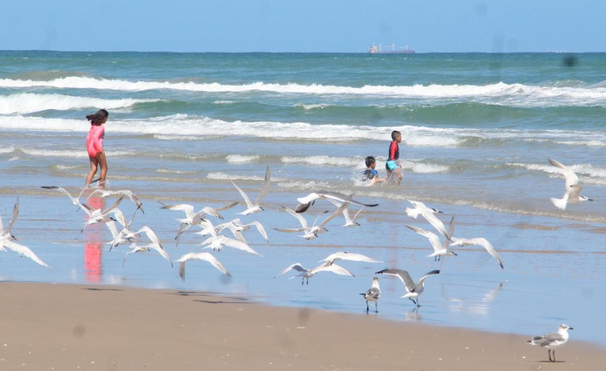 Playa Miramar (foto/Yazmín Sánchez)
