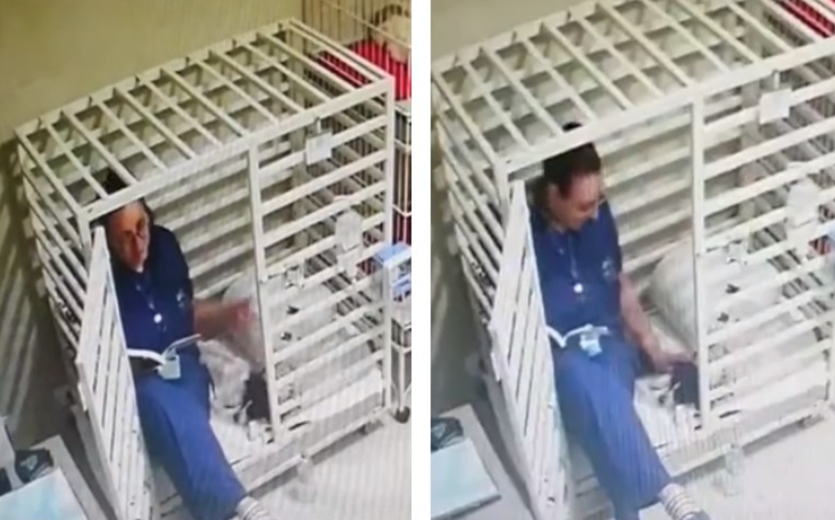 Un suceso que ocurrió en Brasil. (Captura)