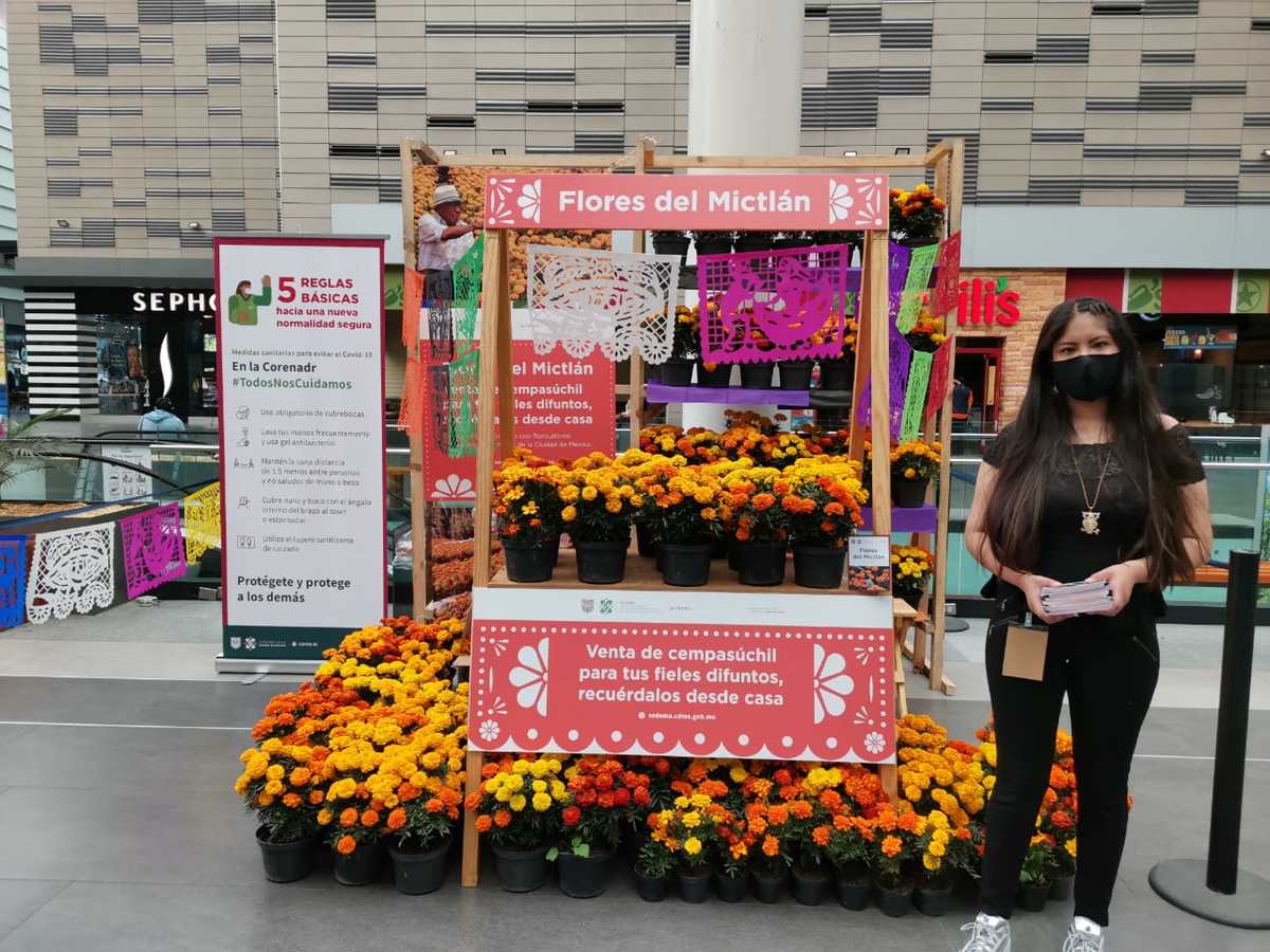 Venta de flores de cempasúchil en plazas comerciales | Especial