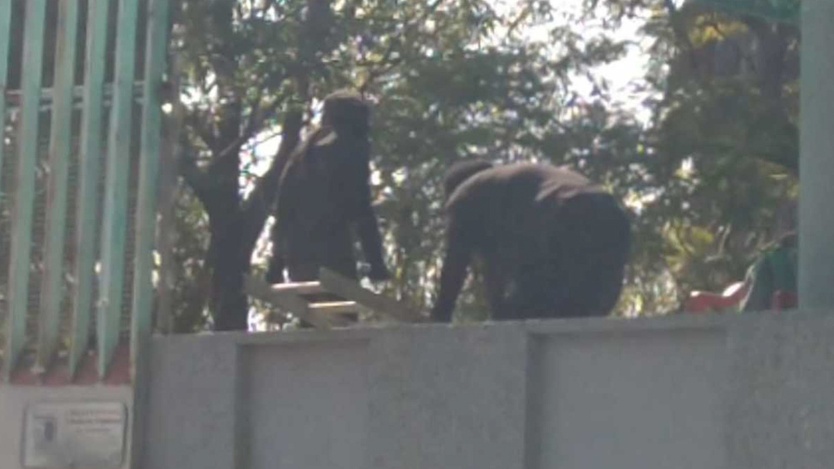 Encapuchados vandalizan Colegio de Bachilleres en GAM