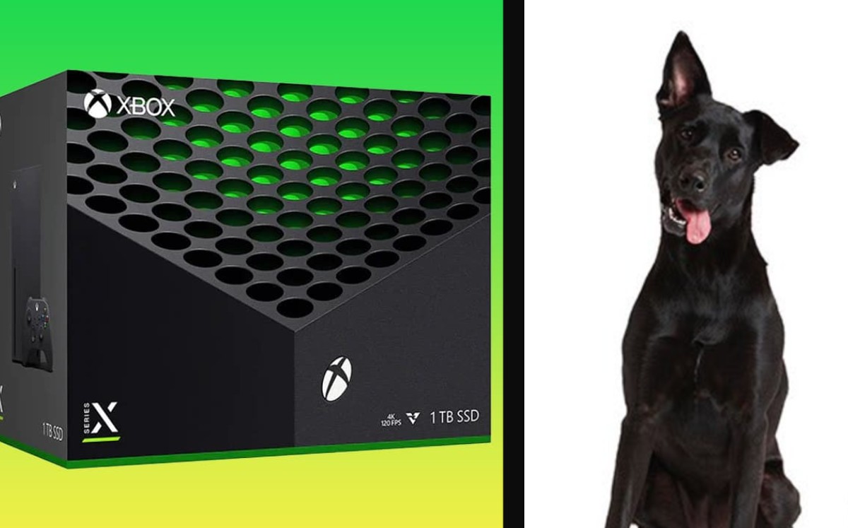 Así fue la preventa de Xbox Series X y Xbox Series S. (Twitter)