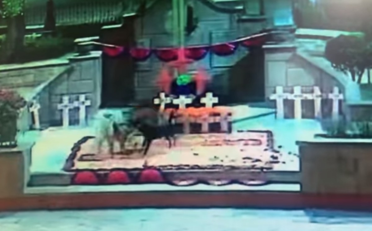 Ayuntamiento de Zumpango revela videos de la destrucción de ofrenda: fueron perritos. (Captura)