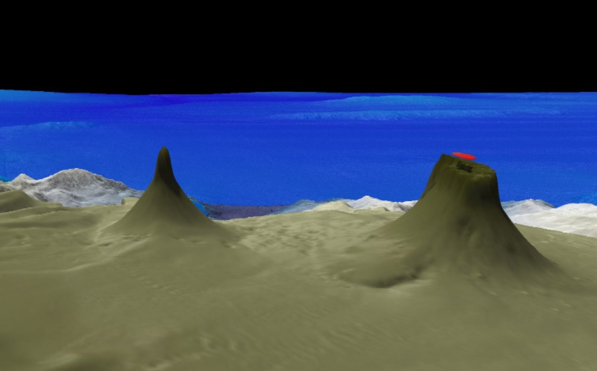 El descubrimiento se realizó frente a las costas de Australia. (Schmidt Ocean Institute)