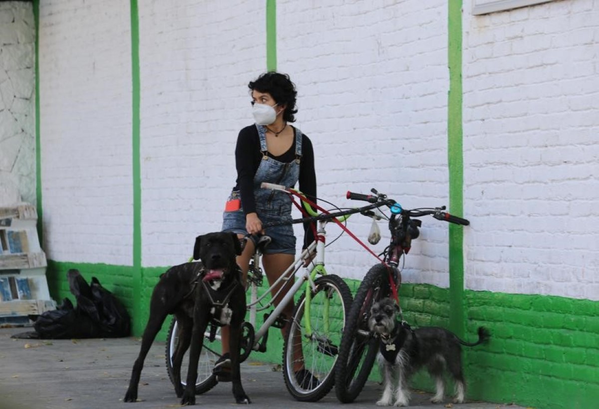 Diputada propone crear registro de bicicletas en CdMx. | Jorge Carballo