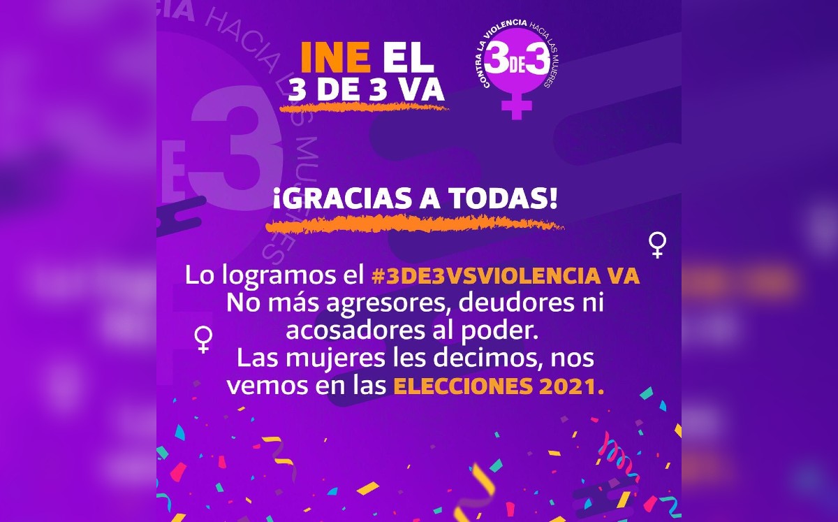 Martha Tagle agradeció a los consejeros del INE por aprobar los nuevos lineamientos. (Twitter)