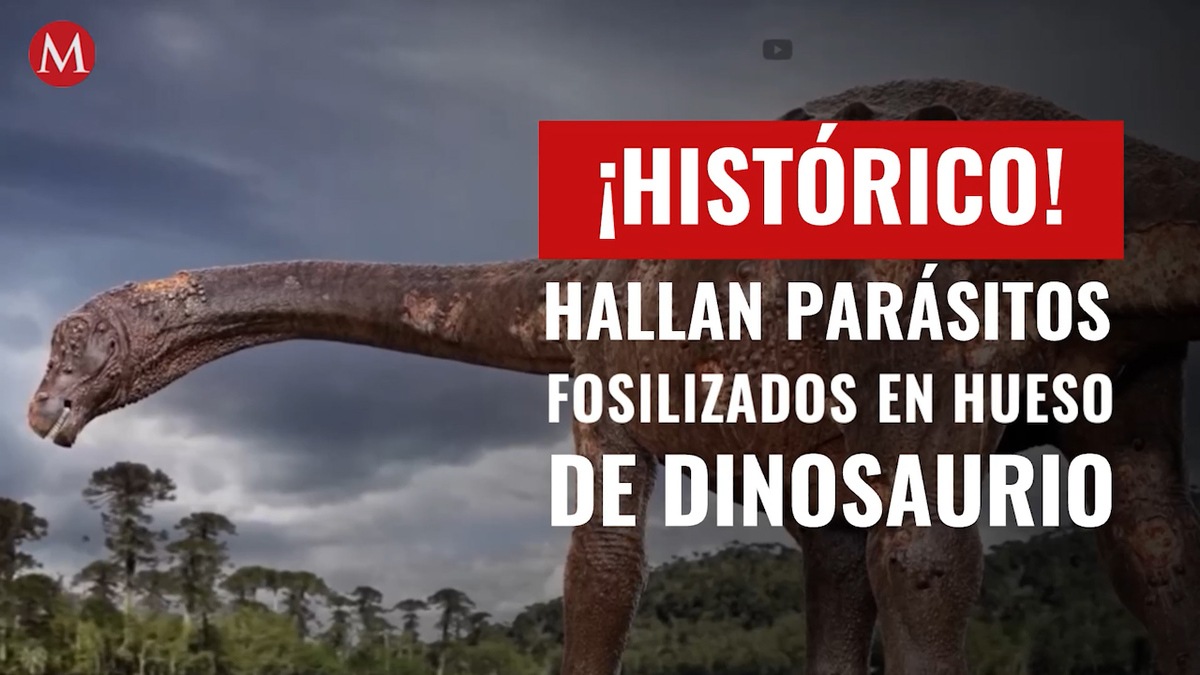 ¡Histórico! Hallan parásitos fosilizados en hueso de dinosaurio