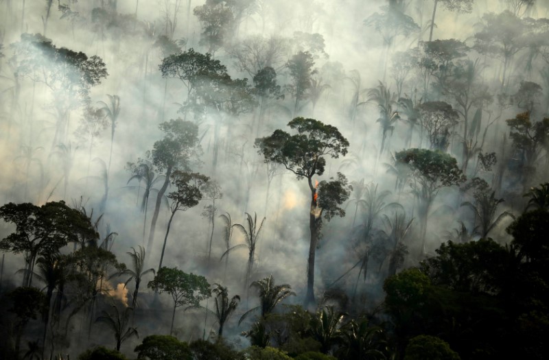 Los investigadores considerar que una pandemia más agresiva que el coronavirus puede ocurrir si no se cuida el medio ambiente. | Reuters