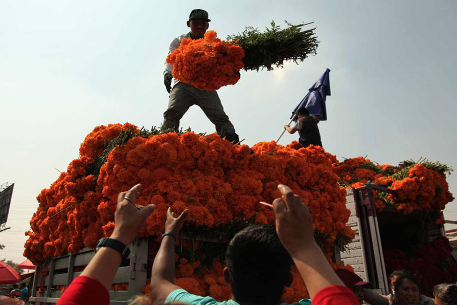 Campesinos ofrendaron a sus muertos entre camiones repletos de flores.( Rodolfo Valtierra)