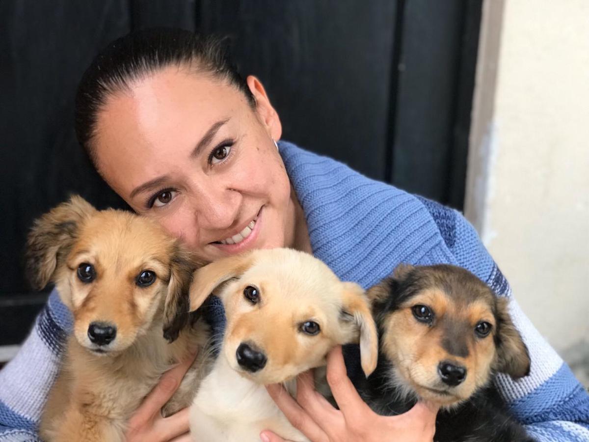 Elena Chavela, protectora animal independiente en Hidalgo. (Cortesía)