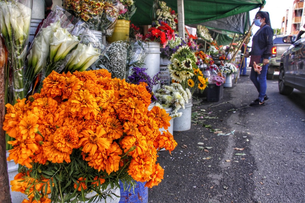 El nombre de esta flor proviene del náhuatl “cempohualxochitl” que significa: flor de 20 pétalos.  (Melanie Torres)