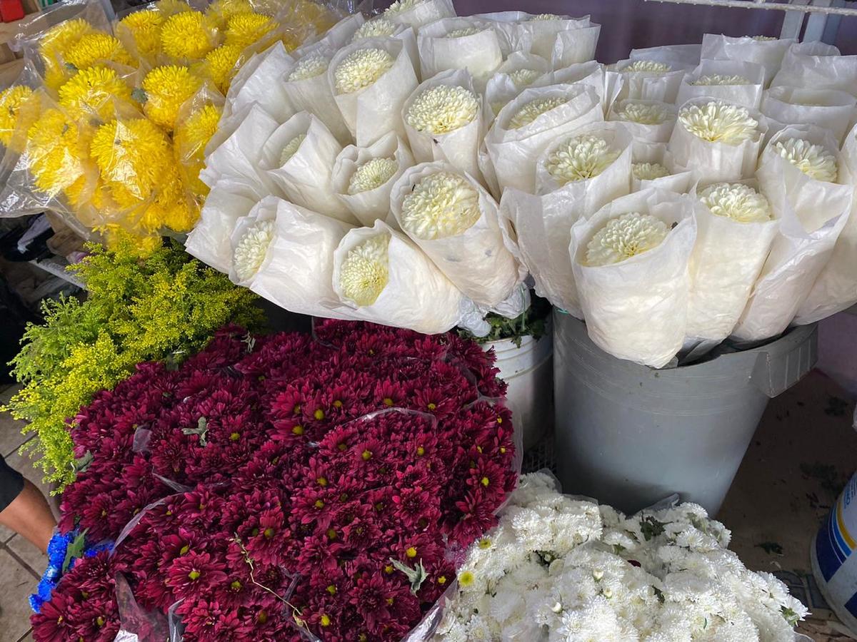 Bajan ventas de flor de cempasúchil hasta un 50%. Foto: Jessica Márquez