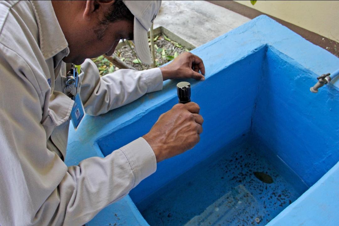 Revisión de depósitos de agua para evitar la proliferación del mosquito transmisor del dengue. (Agencia Enfoque)