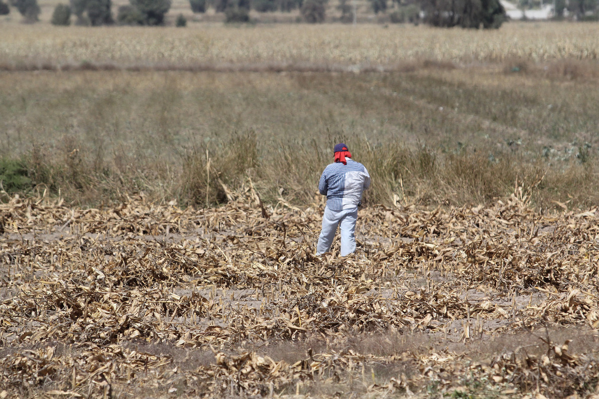 Expertos mencionan que puebla necesita un plan para mitigar el cambio climático. (Agencia Enfoque)