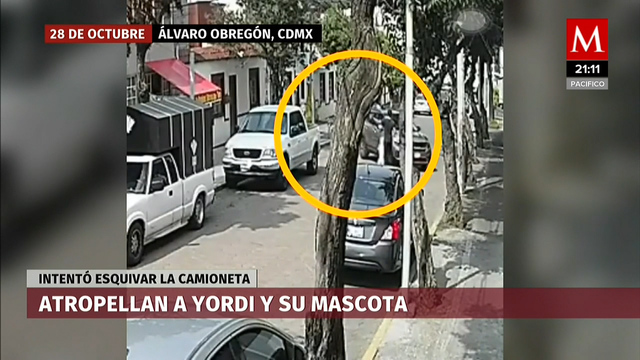 Jordi fue atropellado con su mascota en Álvaro Obregón, el conductor responsable no se sabe nada