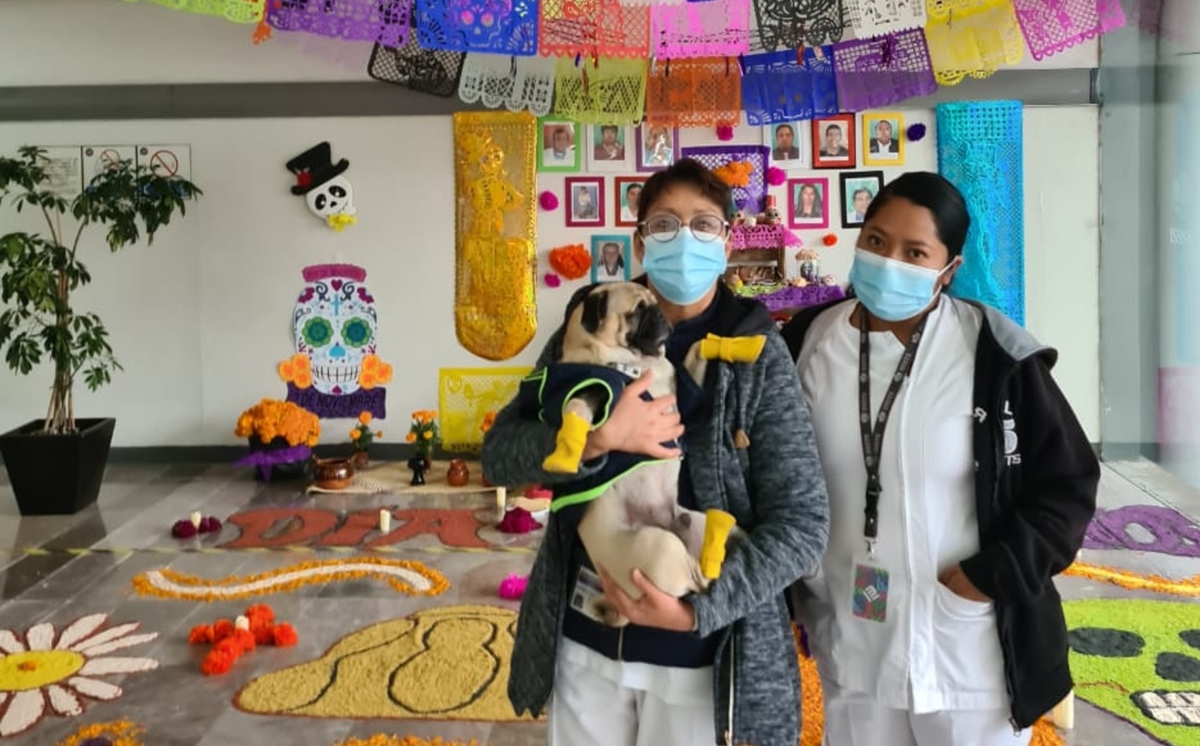 El pug visitará más centros de salud para ayudar al personal médico a liberar el estrés. (Especial)