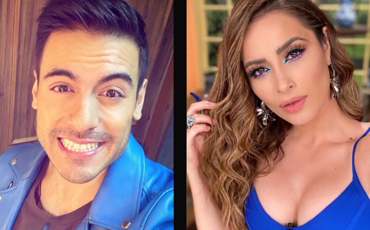 Carlos Rivera y Cynthia Rodríguez sorprenden a fans al ser captados comprando muebles. (Instagram)